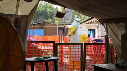 A possível vacina contra o Ebola