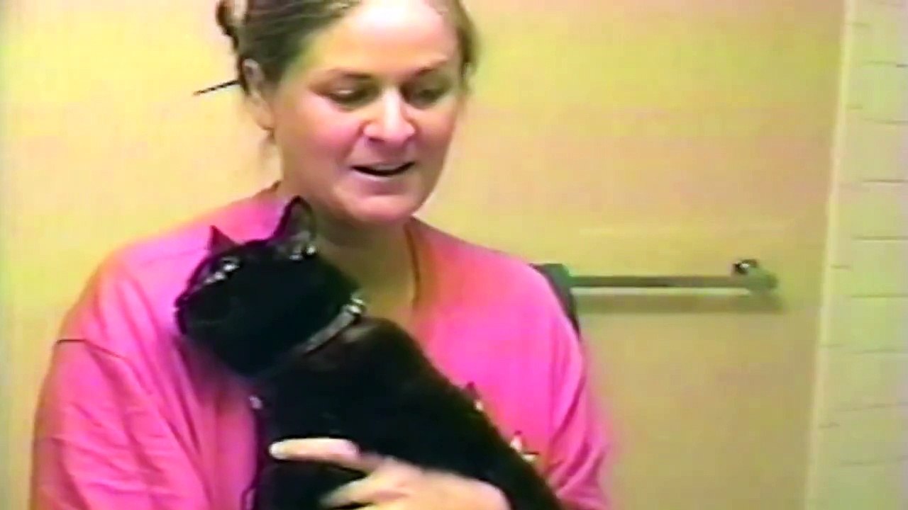Talking Cat Really Does Not Want A Bath