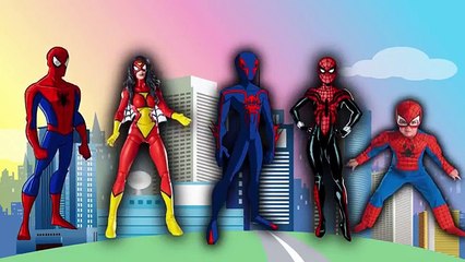 DADDY FINGER SONG SPIDERMAN Nursery Rhymes for Children Babies and Toddlers