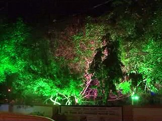 Gir Somnath Veraval Roshni Day