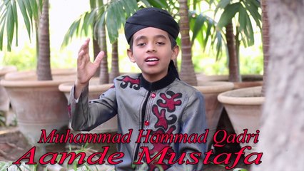 Muhammad Hammad Qadri - Aamde Mustafa
