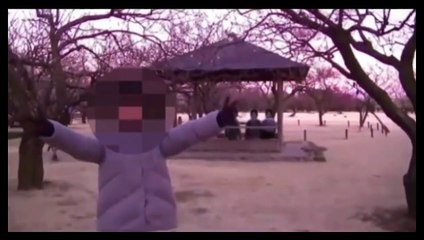 心霊動画「最恐心霊映像・心霊現象・PART5」呪い最新HDD スーパー