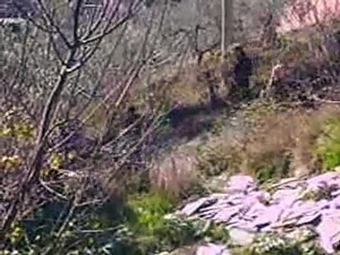 Processione patrono S. Sebastiano 2016