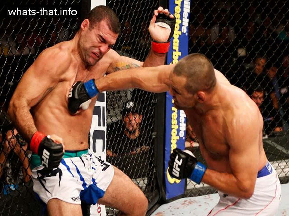 Top 12 UFC Fighters 2016