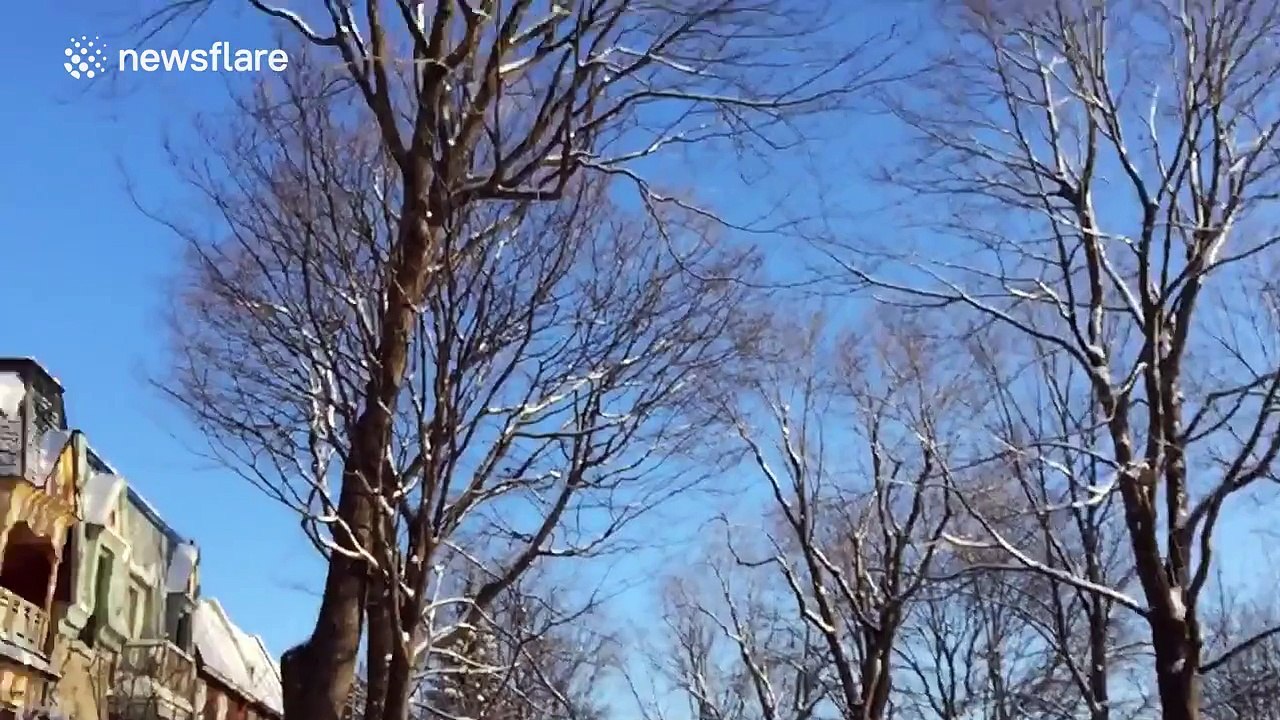 Bubble freezes and bursts in majestic slow motion