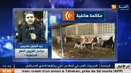 النشرة المحلية الثانية ليوم 10 أوت 2014