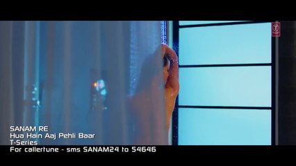 HUA HAIN AAJ PEHLI BAAR - SANAM RE