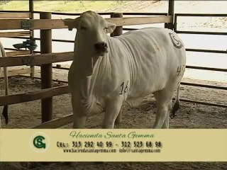 19 de diciembre de 2015 Santa Gemma