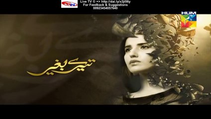 Tere Baghair Hum Tv Drama Next Episode 16 Promo (21 January 2016)