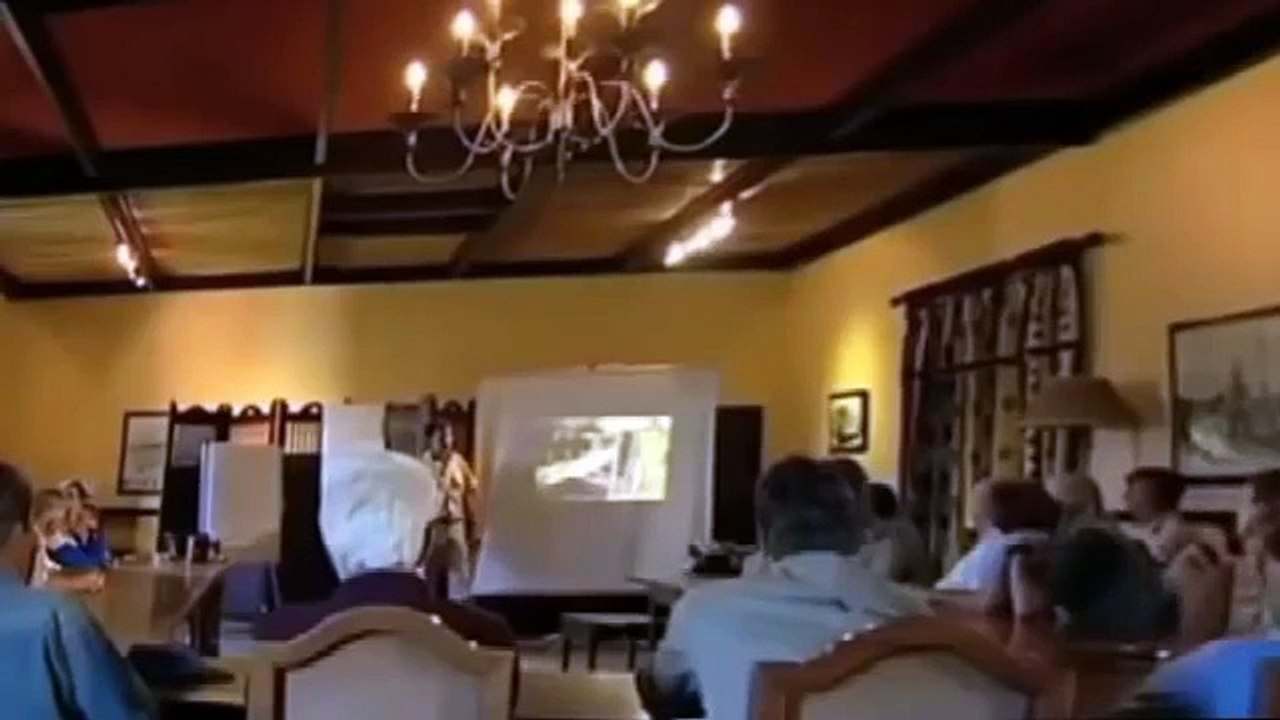 Lions Documentary 2015    LIONS - HYENAS - LEOPARD - WILD Nat geo