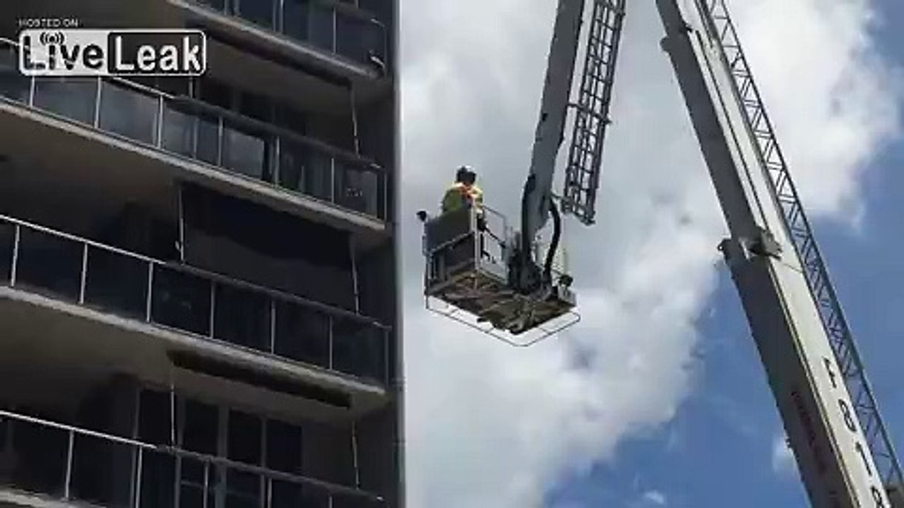 Cat Saves Itself - No Need to Brave Rescuers