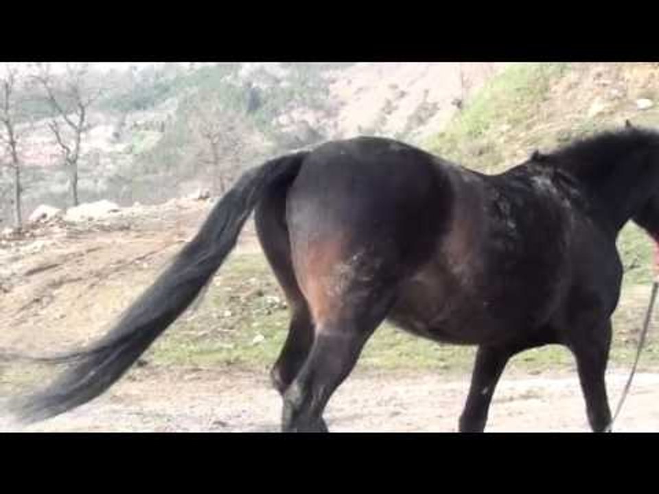 Katy Perry ft  Juicy J   "Dark Horse" PARODY