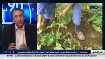 ضيفا بلاطو النهار في حوار شيق عن وفرة منتوج البطاطا و عدم وجود غرف التخزين