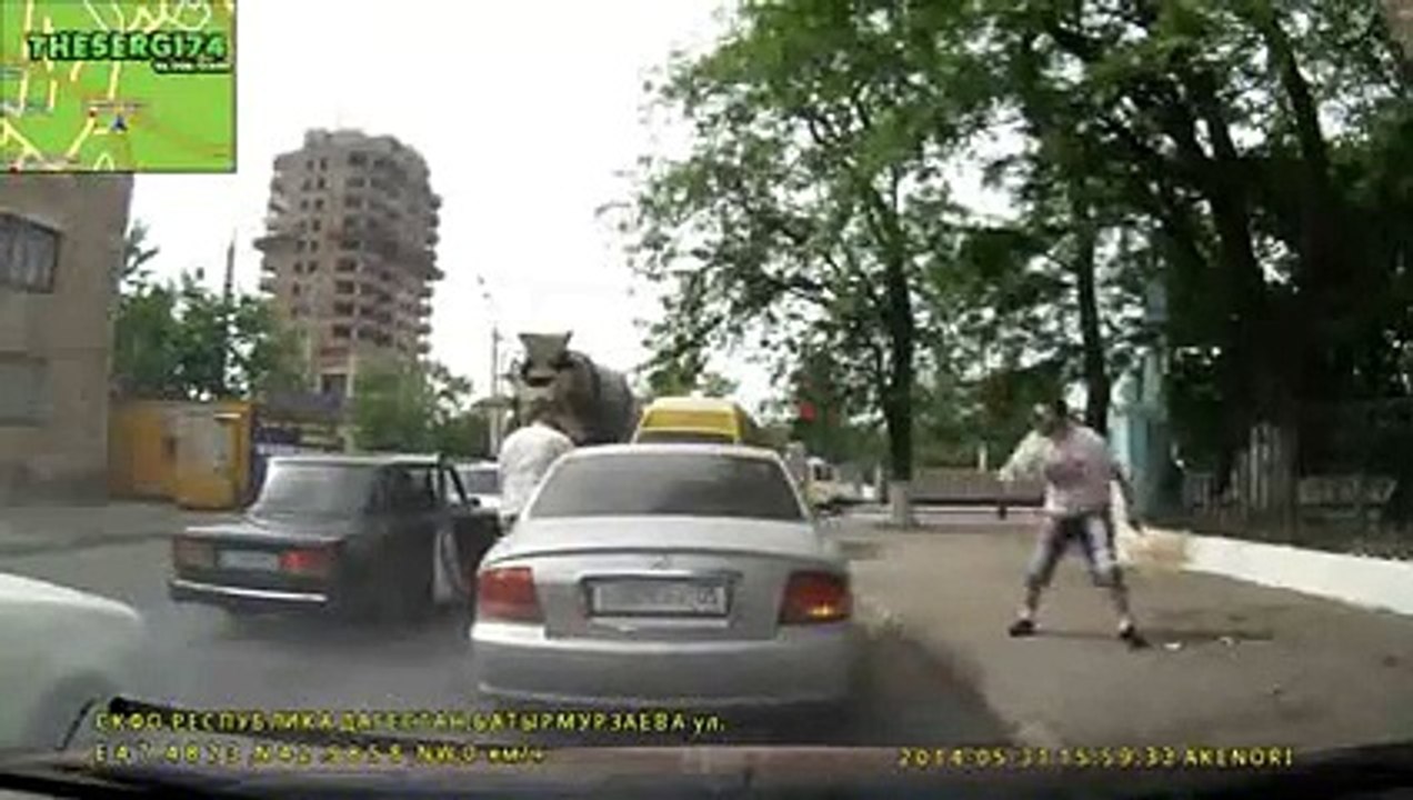 Funny Videos