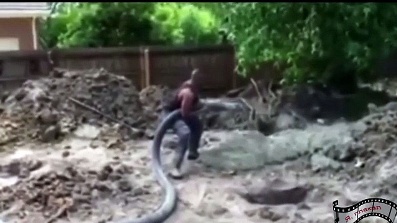 Funny Videos