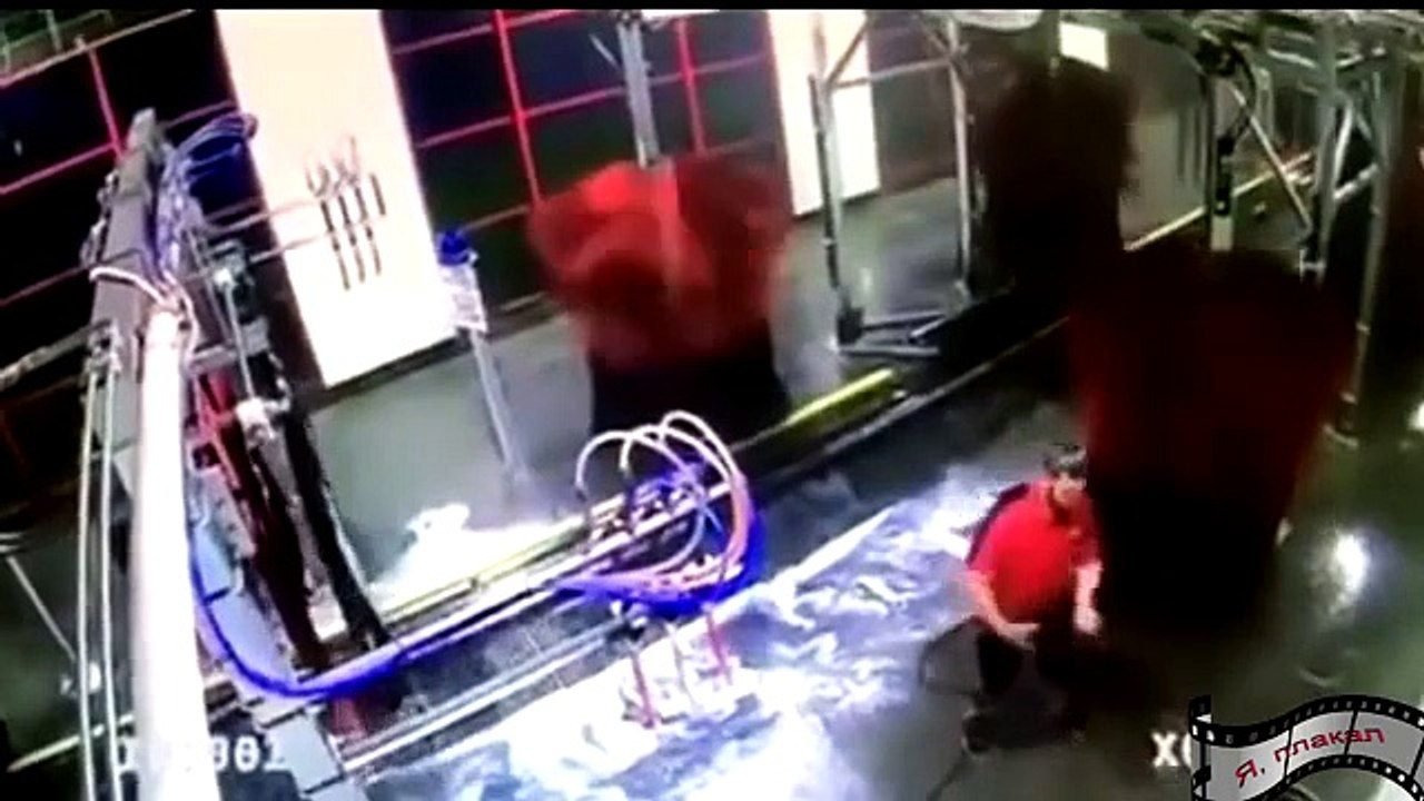 Funny Videos