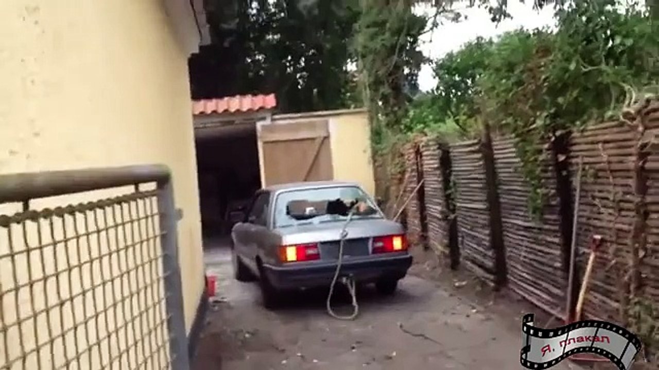 Funny Videos