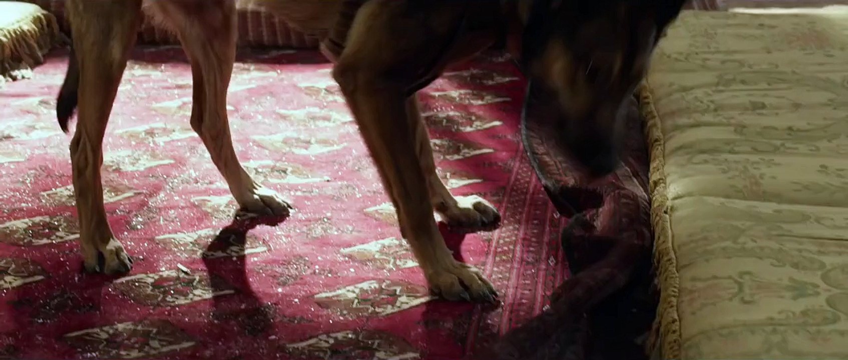 Max - TV Spot 2 [HD]