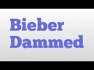 Bieber Dammed meaning and pronunciation