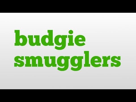 budgie smugglers meaning and pronunciation