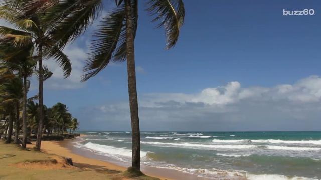 By 2050 the ocean will have more plastic than fish