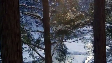 Amusing Snow Monkeys Full Documentary Video June 2016
