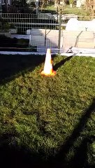 Lamia du Phœnix Ardent