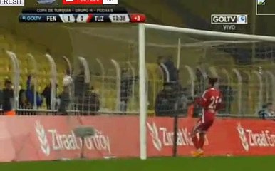Lazar Markovic Goal - Fenerbahce 1 - 0 Tuzlaspor - 21_01_2016