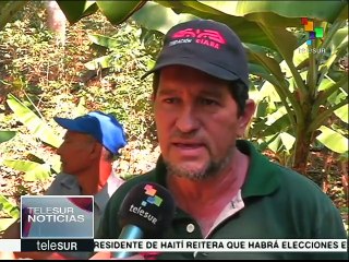 Venezuela: desarrollan nueva variedad de café resistente a la roya