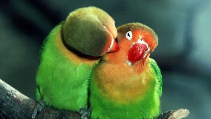 موسيقى رومانسية