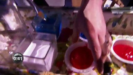 Canada\'s Smartest Person Season 2 Episode 5