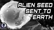 SCIENTISTS BAFFLED! ALIEN SEED SENT TO EARTH DISCOVERED