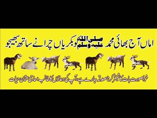 Very Emotional beyan . Shaikh Zulfiqar Ahmed