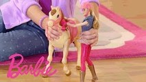 Reitpferd und Barbie Puppe