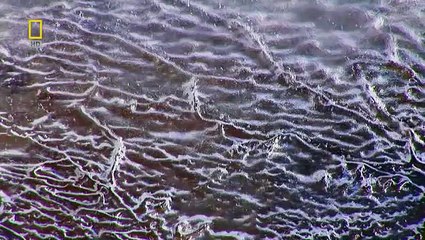 Weirdest Planets and Possibility of Life in outer Space New Documentary2015 Video June 2016