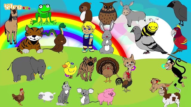 Sounds of the Animals Englisch lernen mit Kinderliedern Yleekids