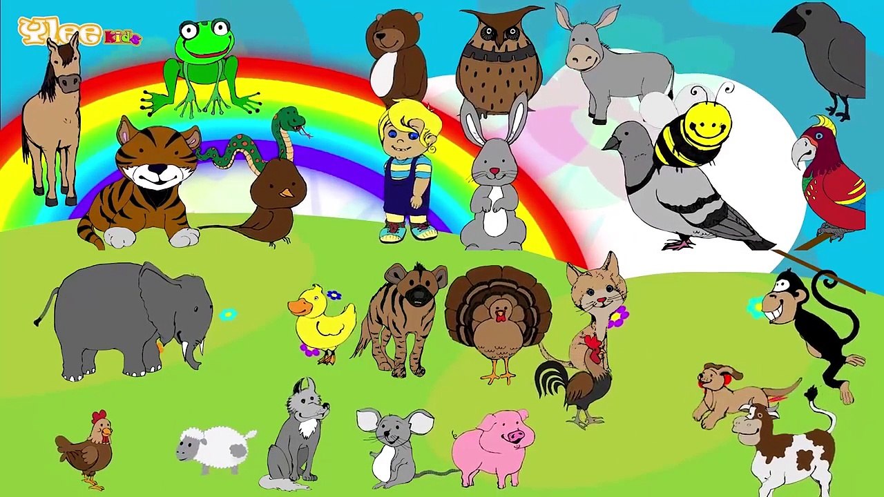 Sounds of the Animals Englisch lernen mit Kinderliedern Yleekids