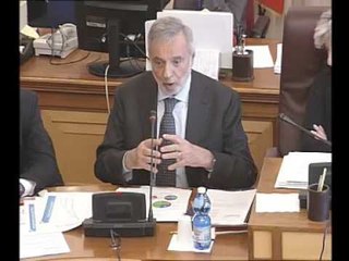 Roma - Audizione presidente Cnr, Nicolais (21.01.16