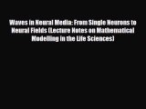 PDF Download Waves in Neural Media: From Single Neurons to Neural Fields (Lecture Notes on