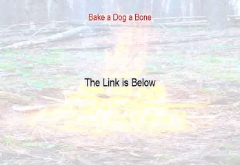 Bake a Dog a Bone Review - PDF