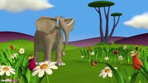Funny Animals Cartoons Collection | Storm on the Savannah | For Babies by HooplakidzTv