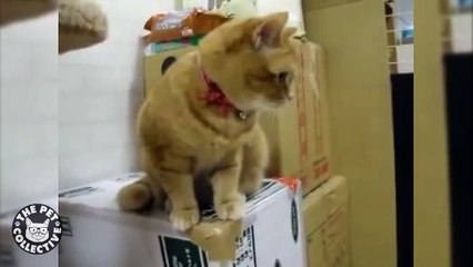 Raging against the machines