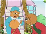 The Berenstain Bears: Brother Bears Test