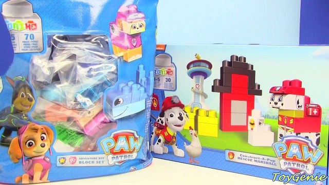 Paw Patrol Adventure Bay and Rescue Marshall Ionix Blocks Set