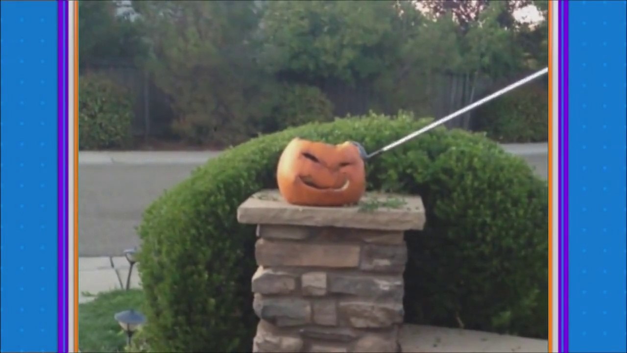 Destroy Your Jackolantern Assignment