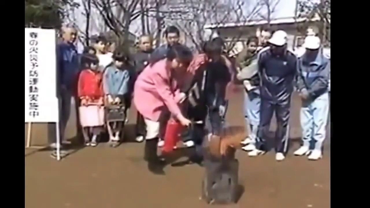 BEST JOKES / ЛУЧШИЕ ПРИКОЛЫ #211