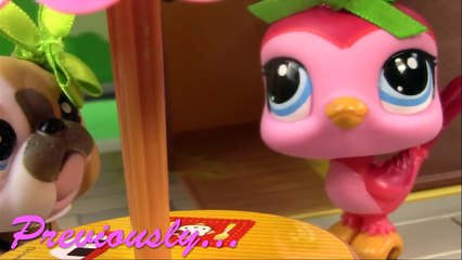 LPS Mommies Series Littlest Pet Shop Newborn Baby At Park Part 62 Video