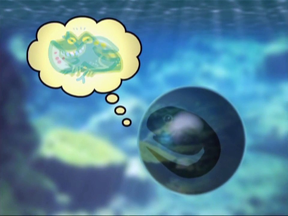 Metamorphosis