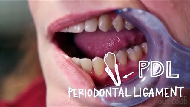 Best Ortho Treatment in Chennai | Best Dental Hospital / Clinic