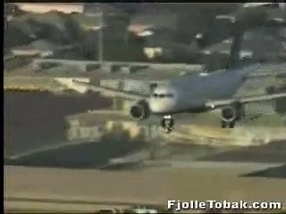 Yet another islamic miracle- Flight [360p]